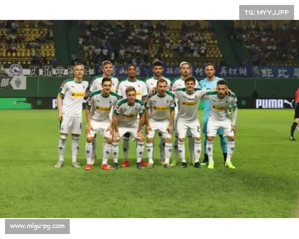 德甲新赛季将启中国球迷多端畅享观赛更自由 德甲新赛季将启中国球迷多端畅享观赛更自由